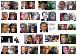 grappige foto 's
